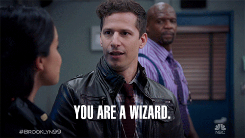 you are a wizard gif